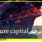 آموزش پورتفوی شرکتهای venture capital