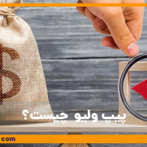 پیپ ولیو - PIP Value چیست؟